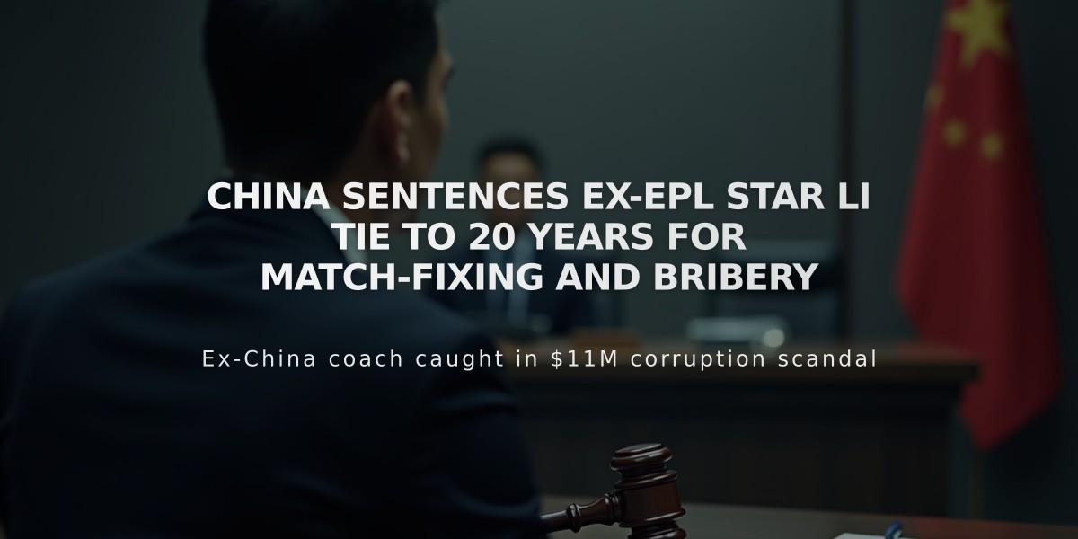 China Sentences Ex-EPL Star Li Tie to 20 Years for Match-Fixing and Bribery